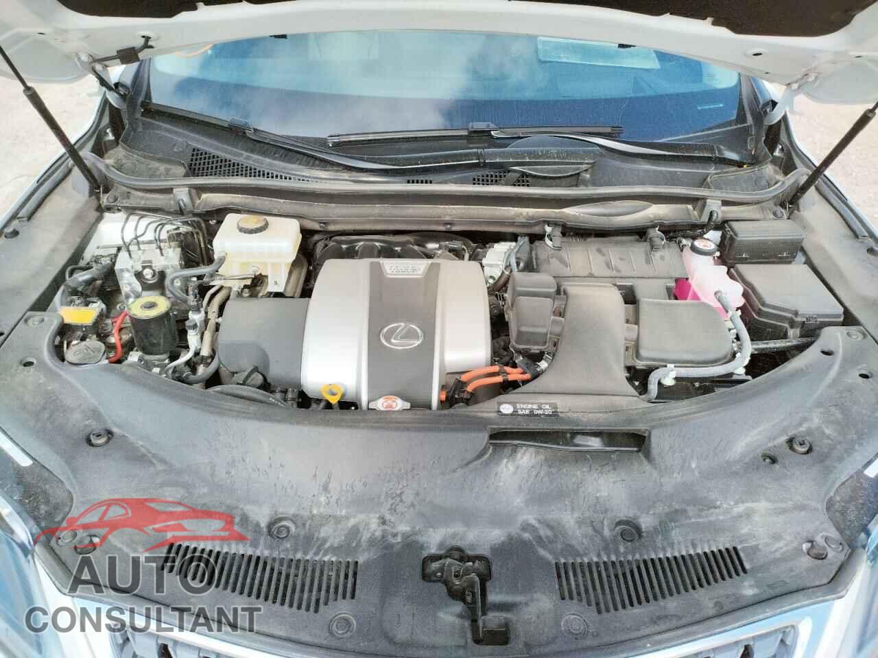 LEXUS RX450 2021 - 2T2JGMDA0MC059857