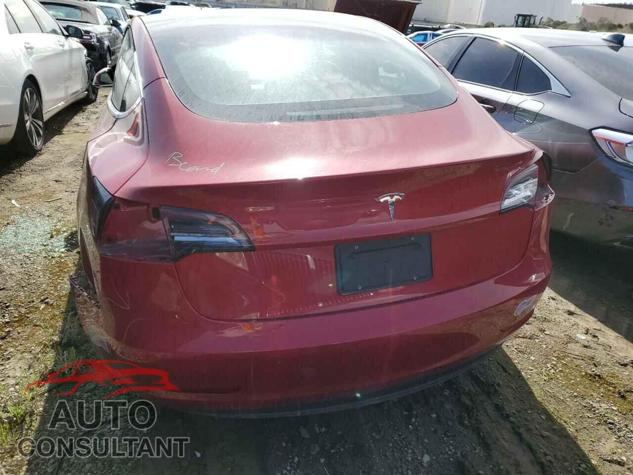 TESLA MODEL 3 2019 - 5YJ3E1EA2KF305624