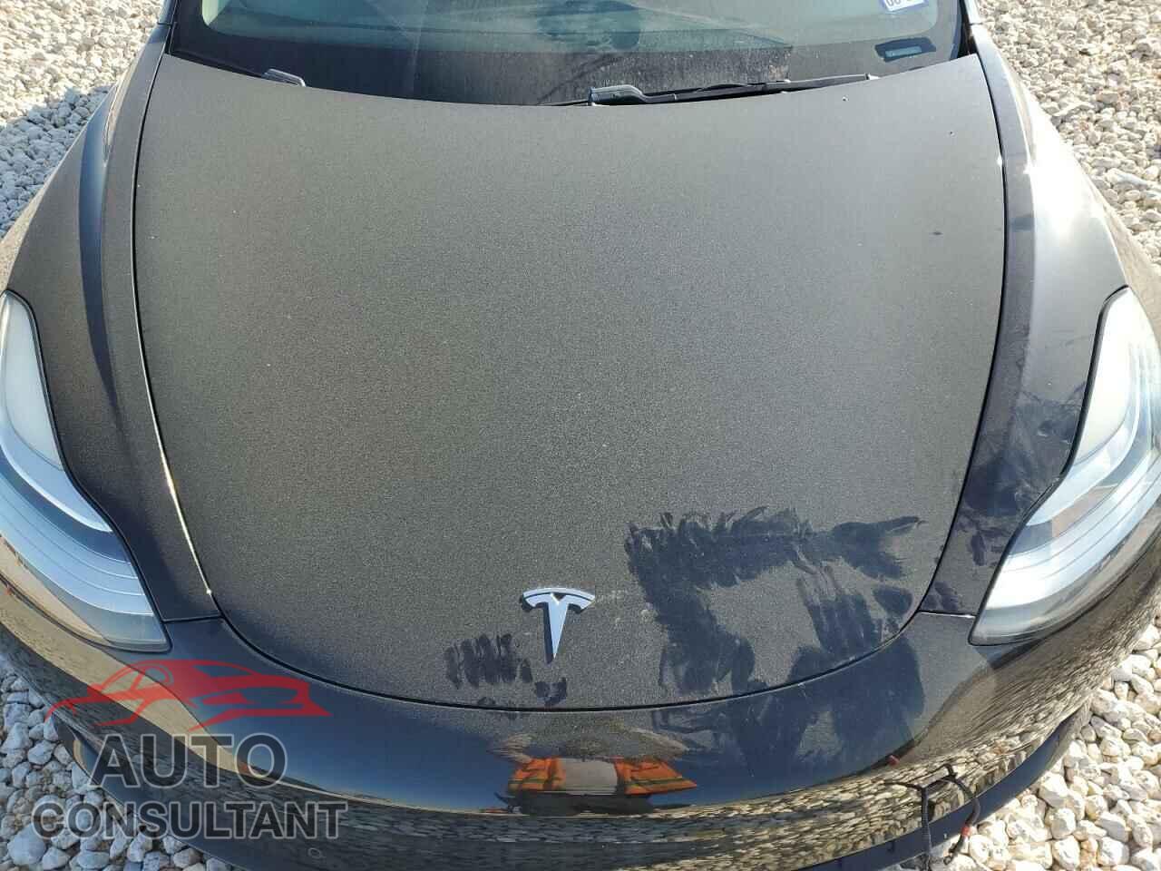TESLA MODEL 3 2019 - 5YJ3E1EA5KF409881