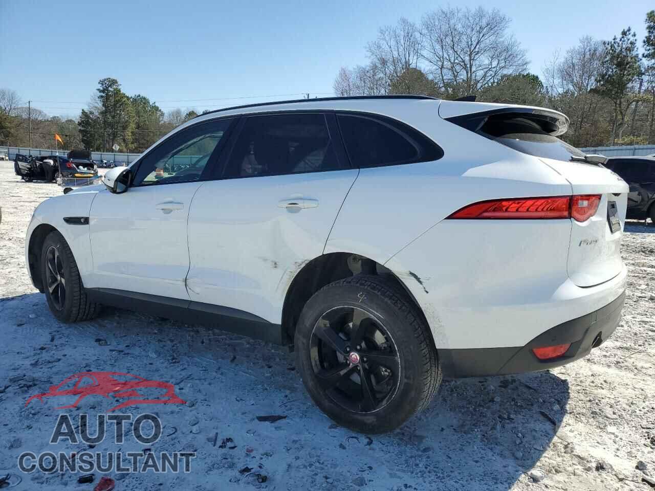 JAGUAR F-PACE 2020 - SADCJ2FX2LA660652