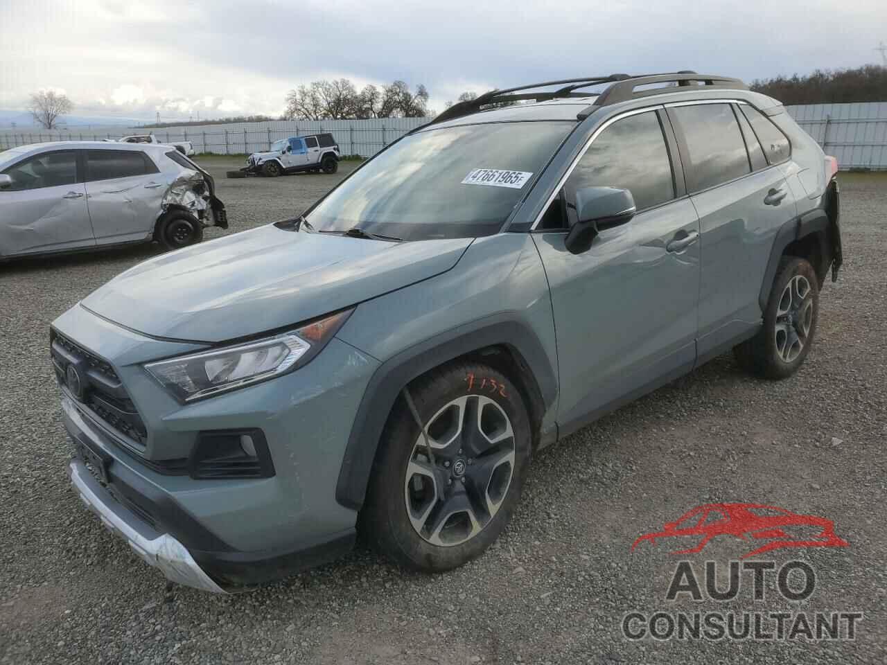 TOYOTA RAV4 2019 - 2T3J1RFV7KW011519