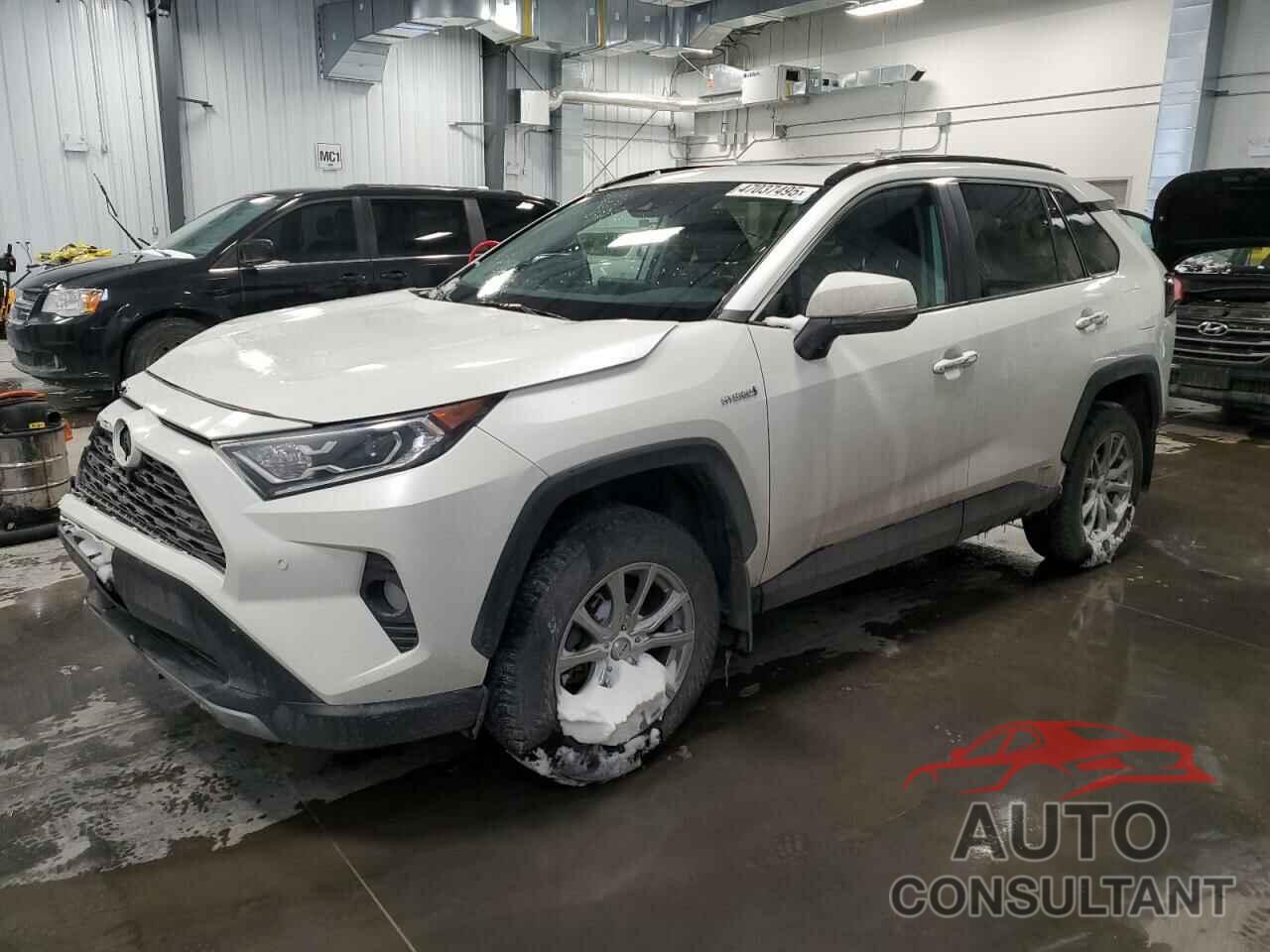 TOYOTA RAV4 2019 - 2T3DWRFV8KW002391