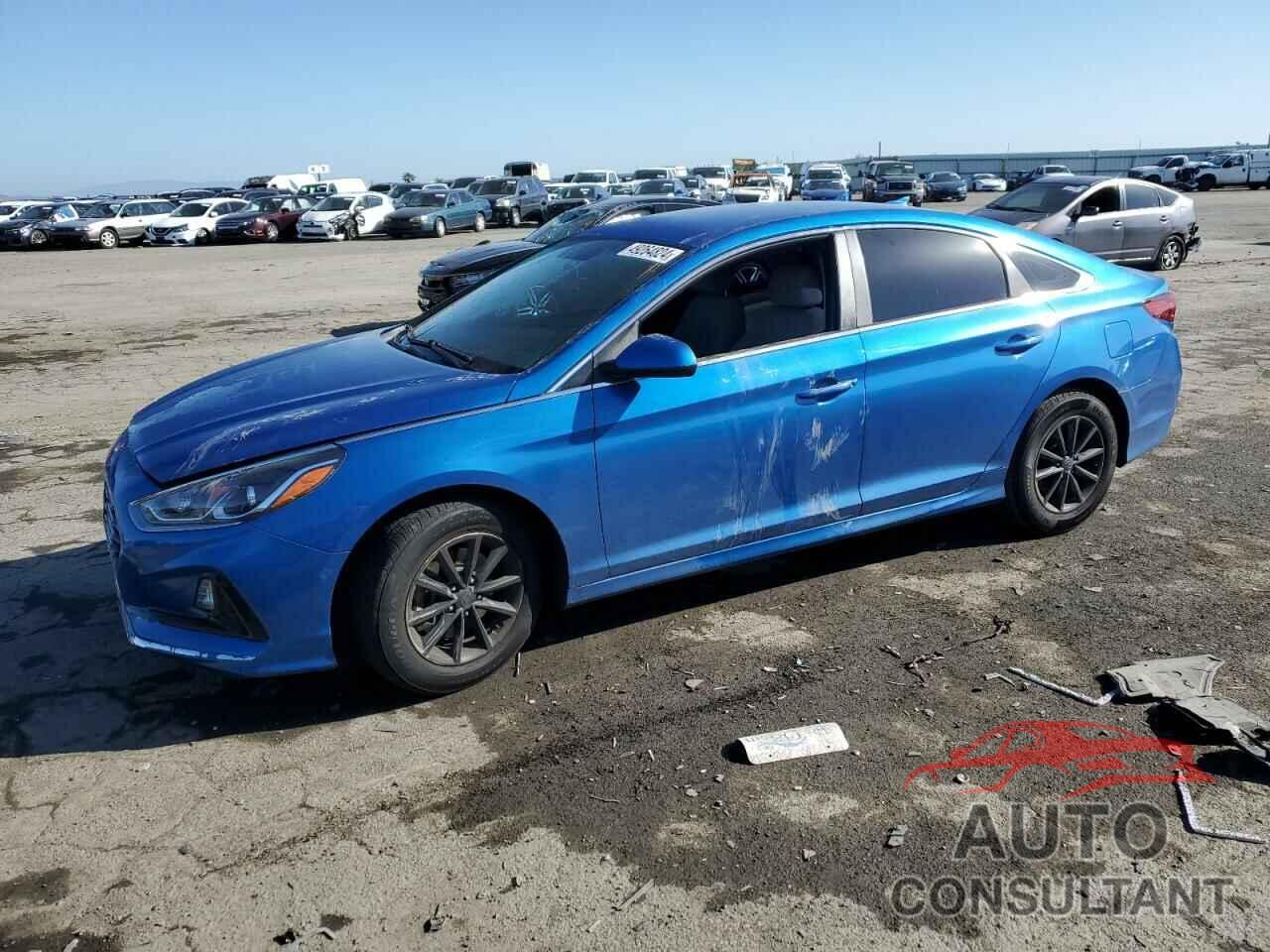 HYUNDAI SONATA 2019 - 5NPE24AF9KH760556