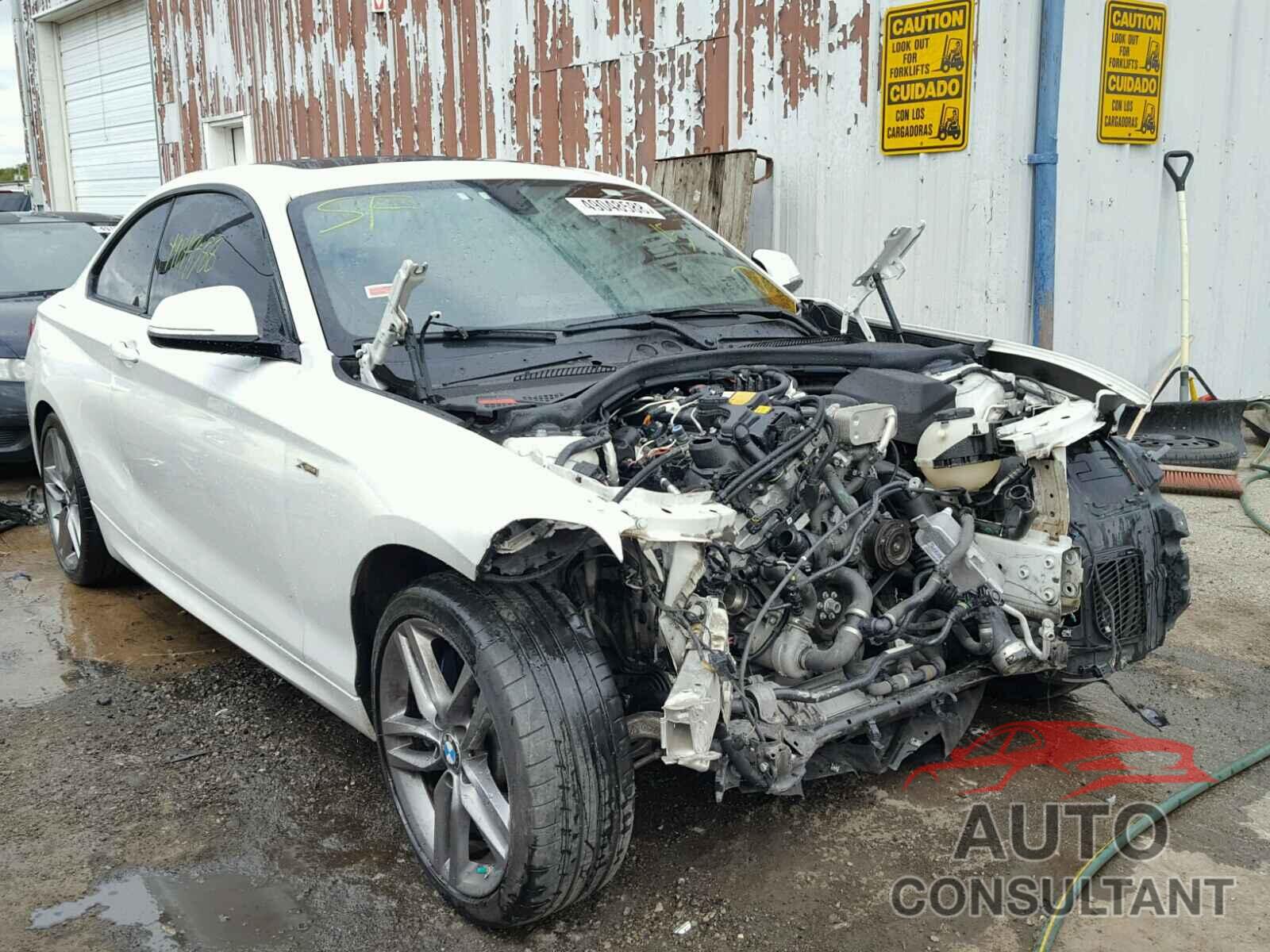 BMW 228 XI 2015 - WBA1F7C51FVX95930