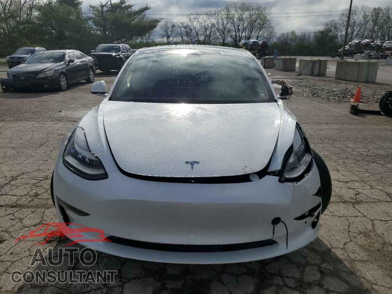 TESLA MODEL 3 2019 - 5YJ3E1EA5KF483253