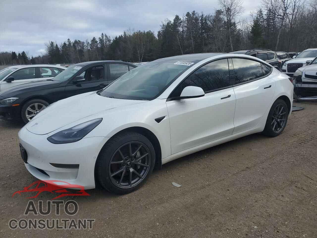 TESLA MODEL 3 2021 - 5YJ3E1EA3MF031983
