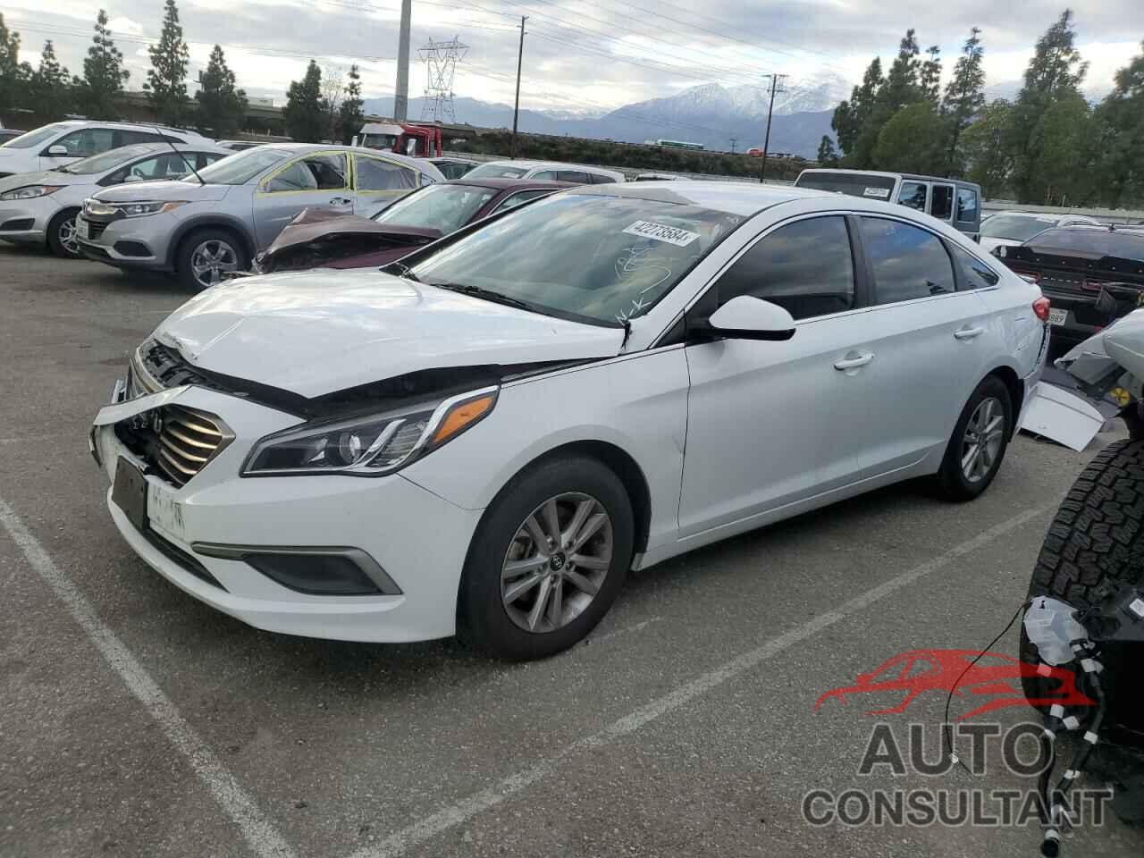 HYUNDAI SONATA 2017 - 5NPE24AFXHH487152