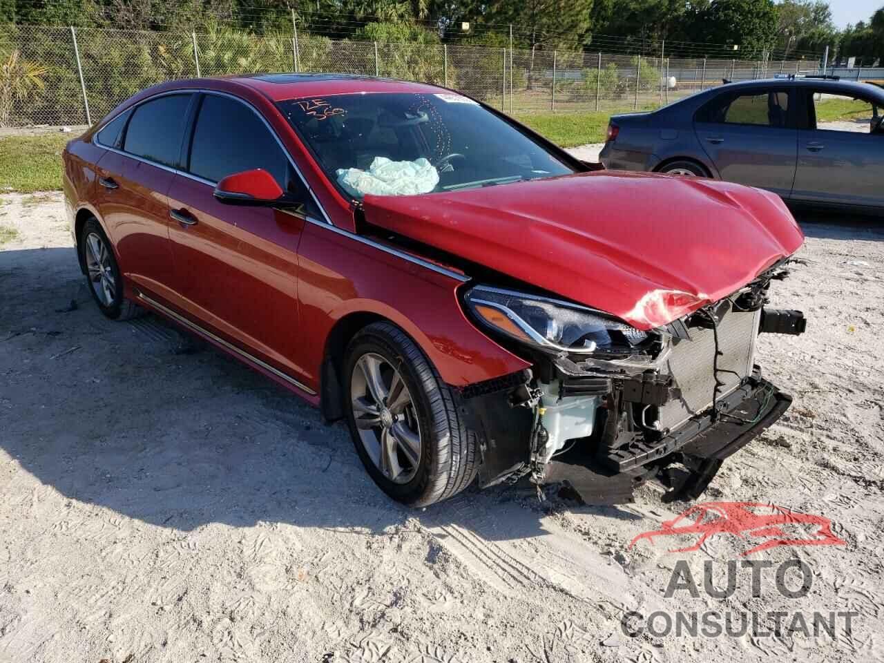 HYUNDAI SONATA 2019 - 5NPE34AF3KH769685