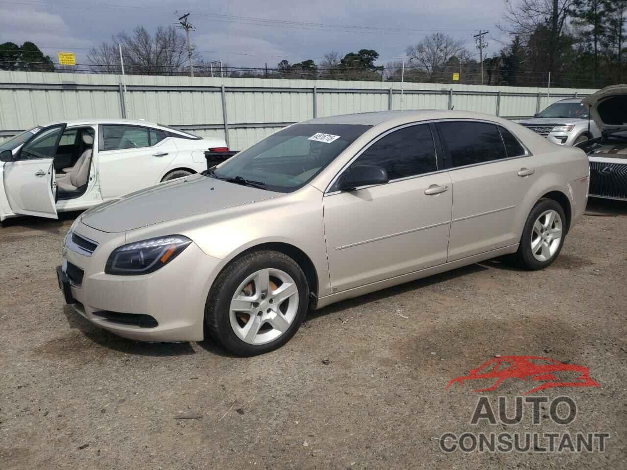 CHEVROLET MALIBU 2010 - 1G1ZB5EB7AF129448