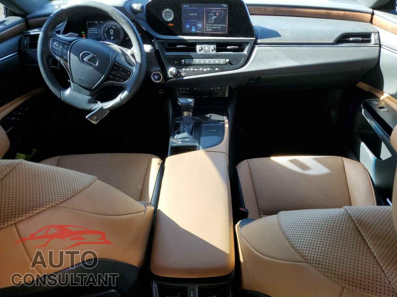 LEXUS ES300 2022 - 58ADA1C19NU015383