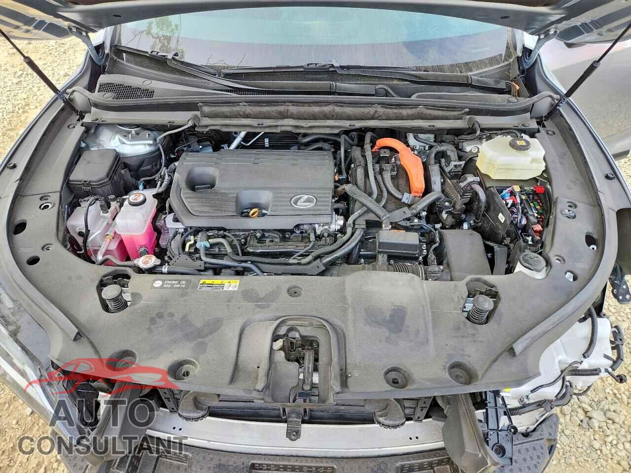 LEXUS UNKNOWN 2025 - 2T2BBMCA7SC084529