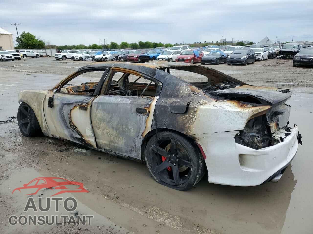DODGE CHARGER 2017 - 2C3CDXL96HH634154