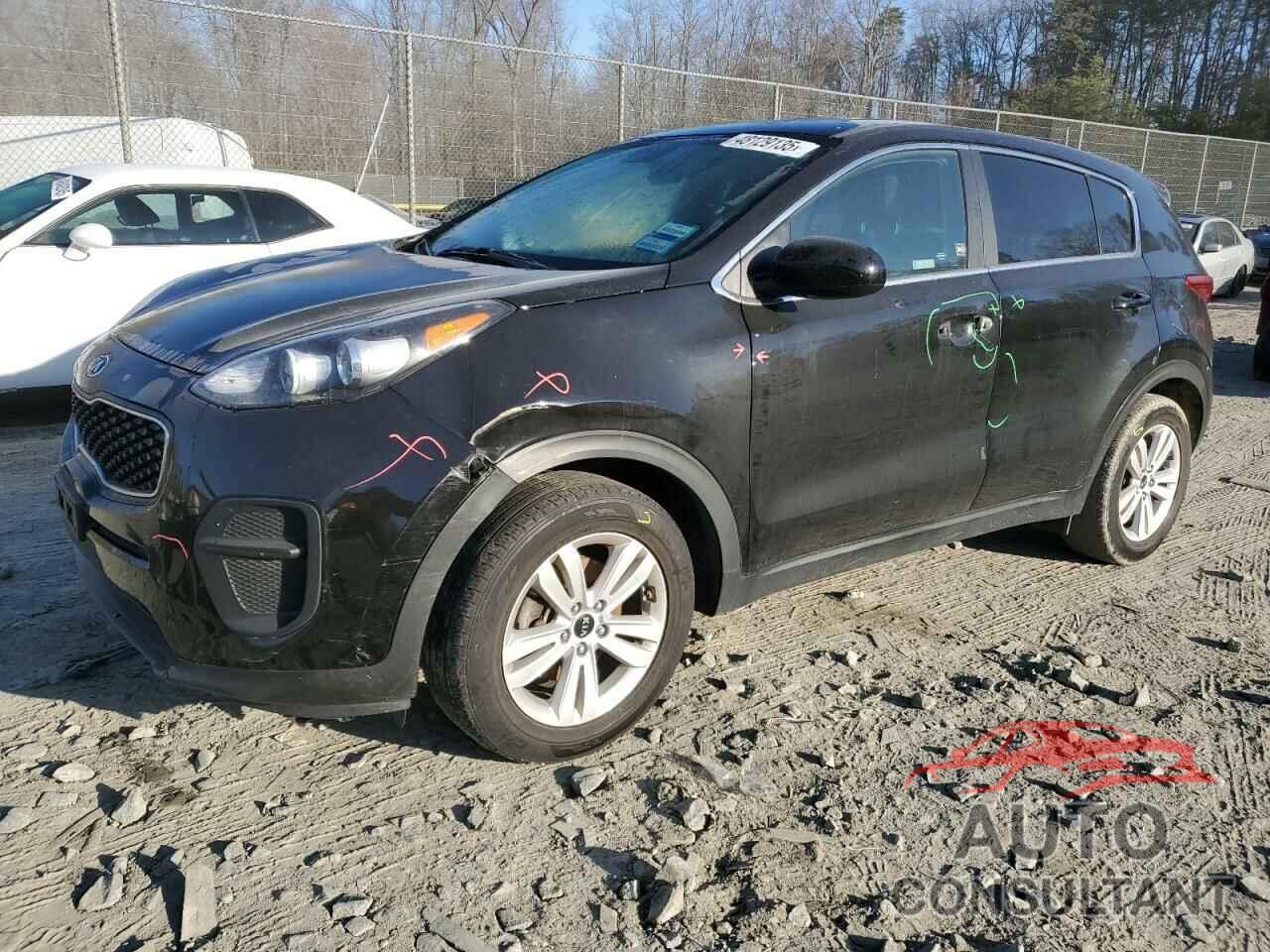 KIA SPORTAGE 2019 - KNDPM3AC1K7602025