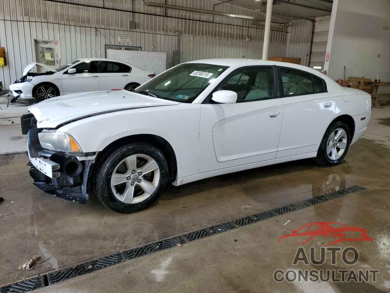 DODGE CHARGER 2011 - 2B3CL3CG3BH525052