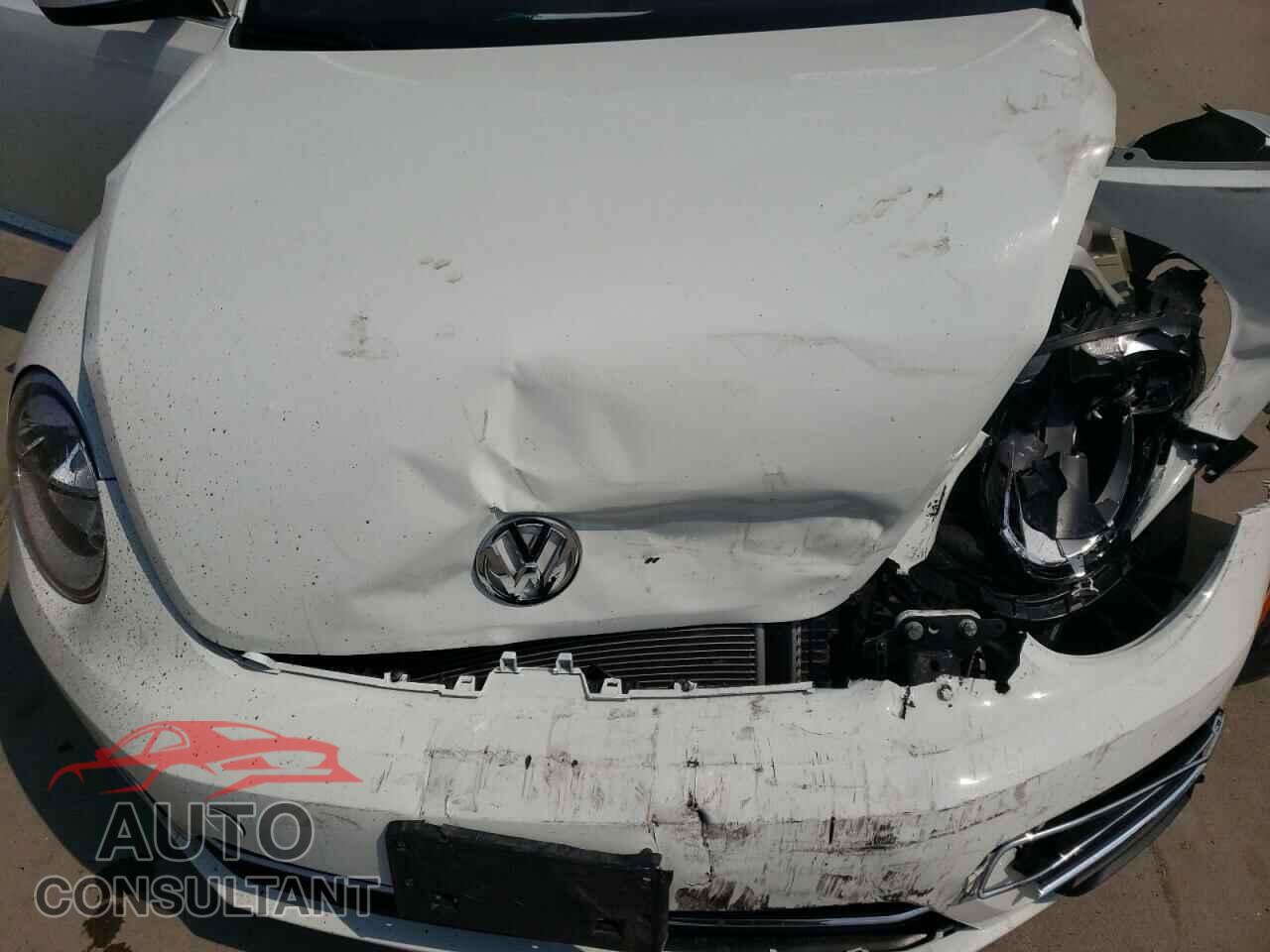 VOLKSWAGEN BEETLE 2019 - 3VW5DAAT9KM505895