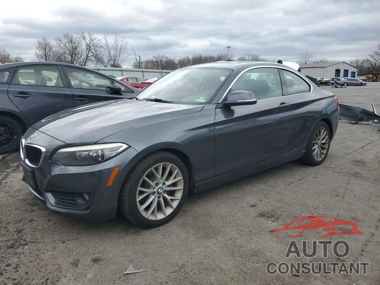 BMW 2 SERIES 2015 - WBA1G9C52FVX96545