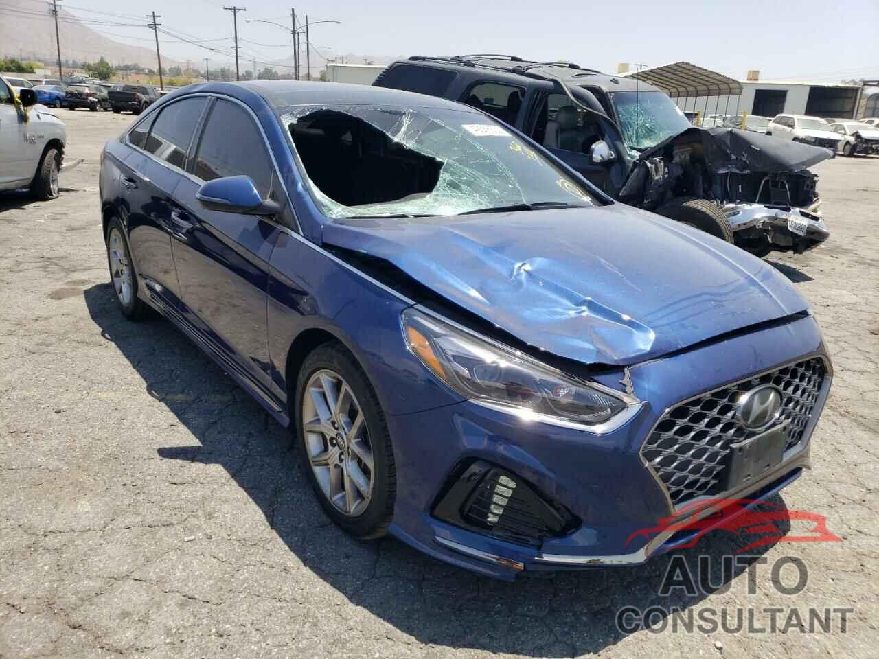 HYUNDAI SONATA 2019 - 5NPE34AB9KH808387