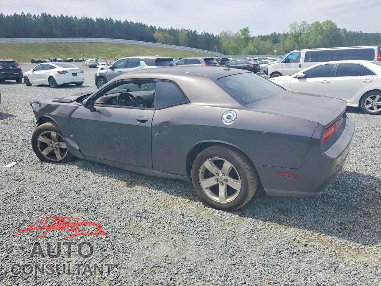 DODGE CHALLENGER 2014 - 2C3CDYAG0EH153819