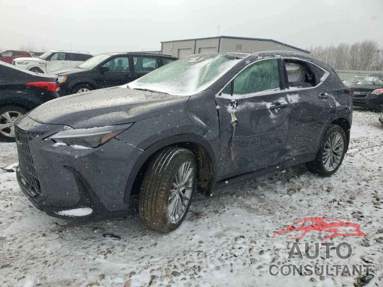 LEXUS NX 350 LUX 2024 - 2T2HGCEZ9RC032032