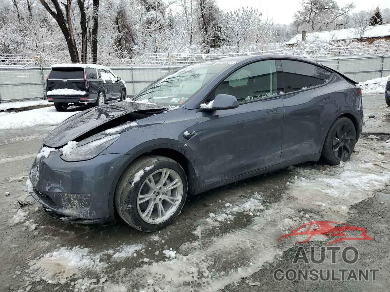 TESLA MODEL Y 2023 - 7SAYGDEE5PF647468