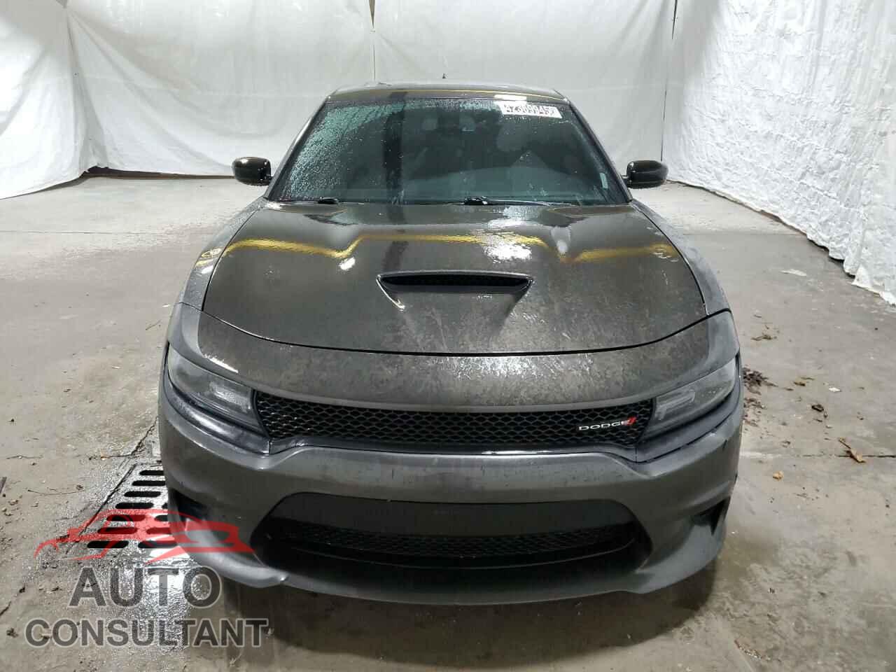 DODGE CHARGER 2019 - 2C3CDXCT8KH597840