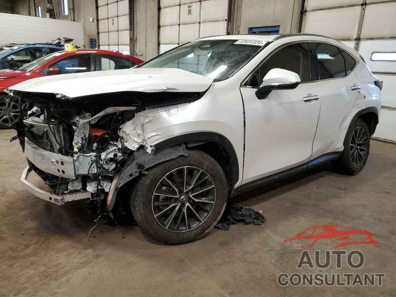 LEXUS NX 350 BAS 2024 - JTJAGCEZ2R5006047