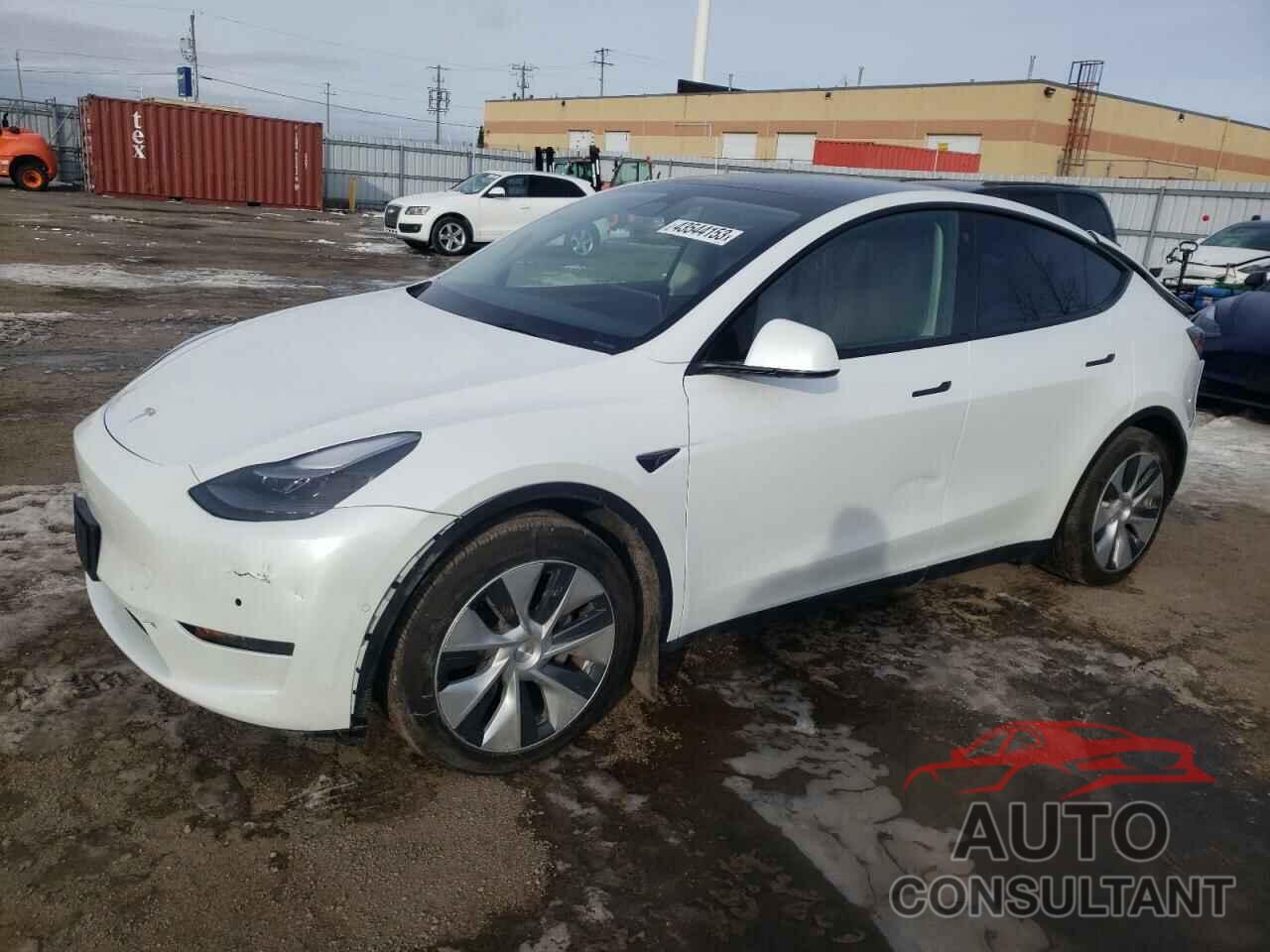 TESLA MODEL Y 2022 - 7SAYGAEE4NF545283