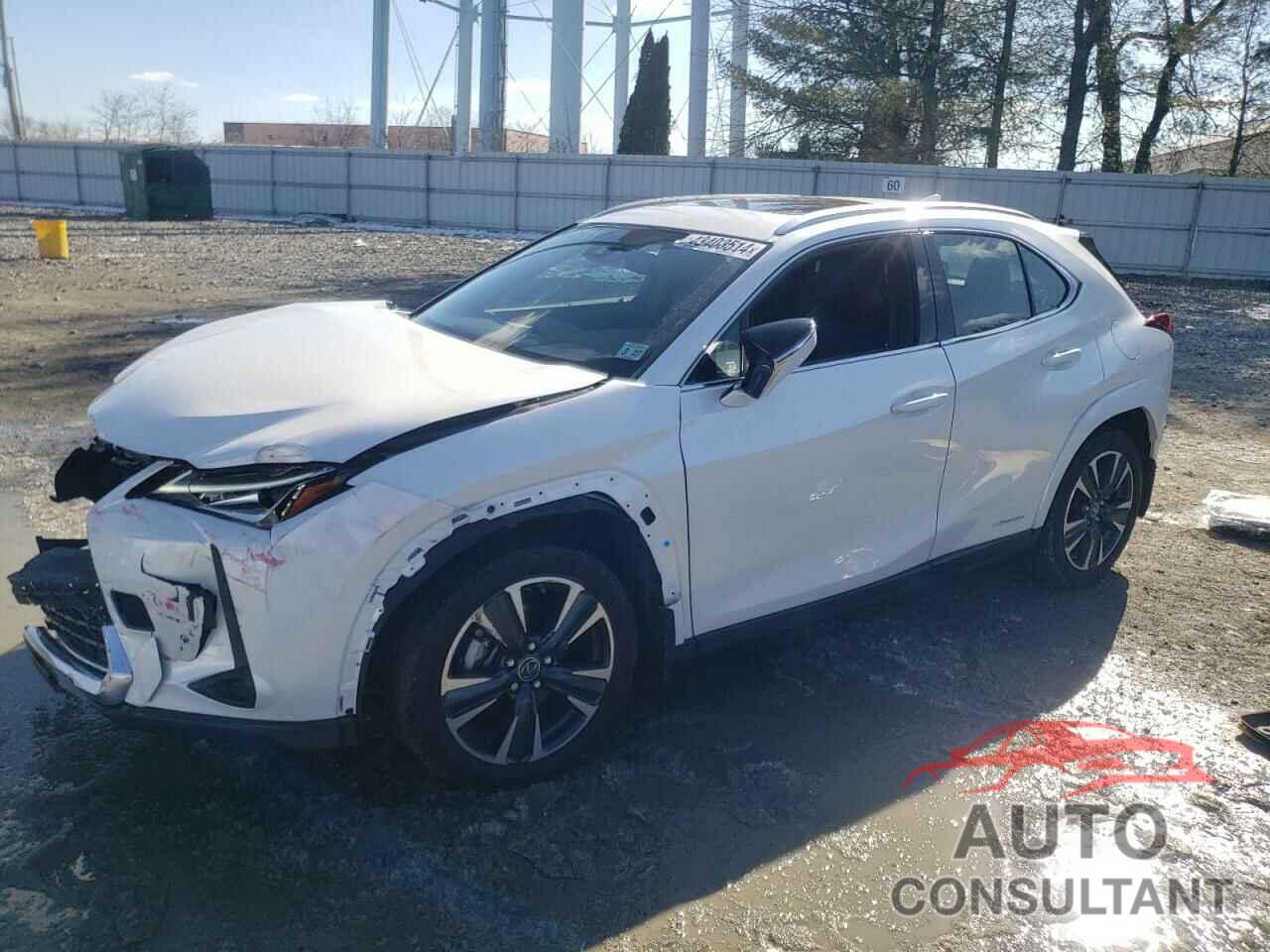 LEXUS UX 250H BA 2022 - JTHP9JBH0N2059671