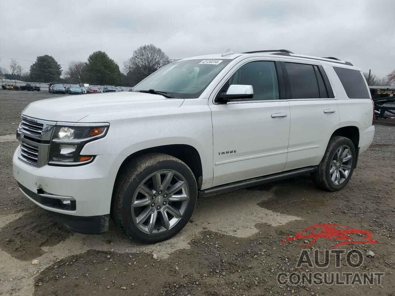 CHEVROLET TAHOE 2019 - 1GNSKCKC4KR263853