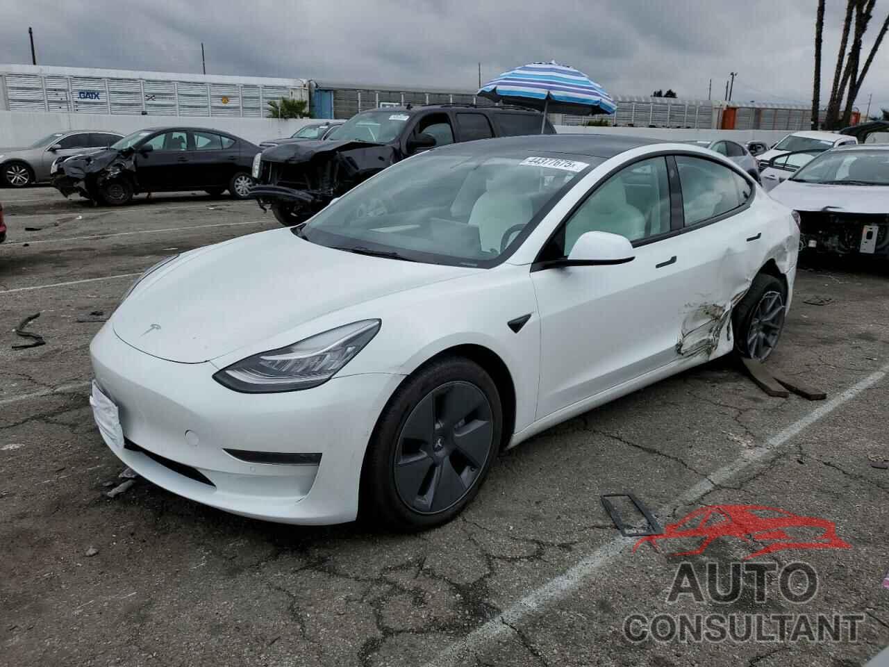 TESLA MODEL 3 2022 - 5YJ3E1EA0NF243404