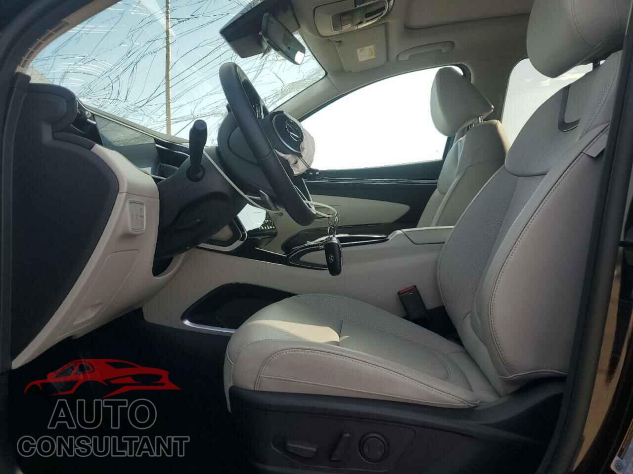 HYUNDAI TUCSON 2024 - KM8JECD14RU213545