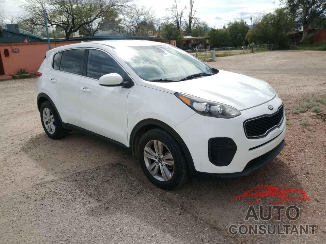 KIA SPORTAGE 2017 - KNDPM3AC9H7165531