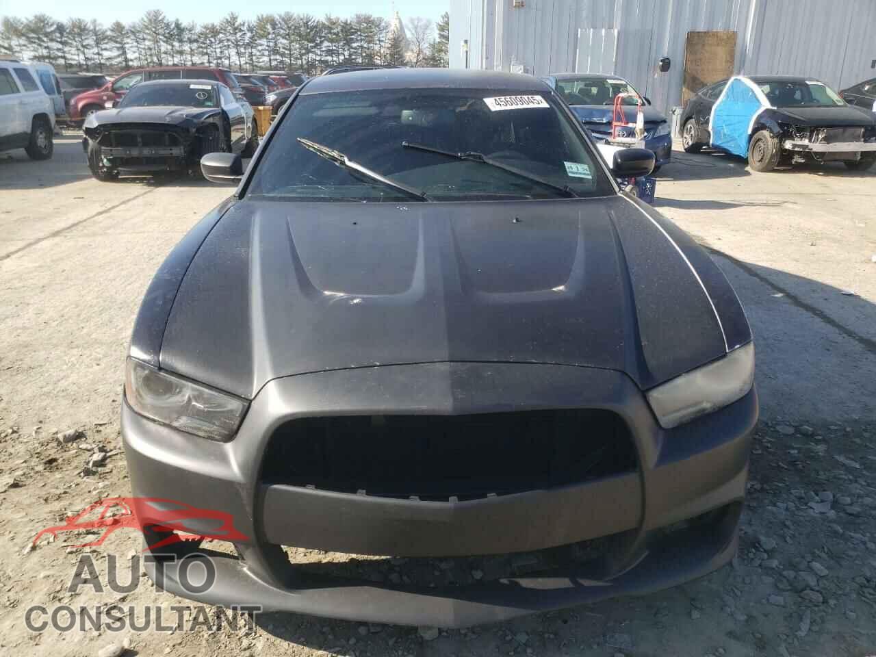 DODGE CHARGER 2014 - 2C3CDXCT4EH338430