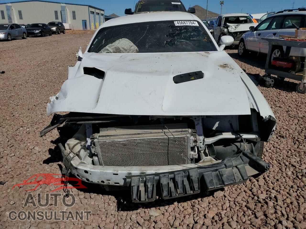 DODGE CHALLENGER 2017 - 2C3CDZAG7HH633009