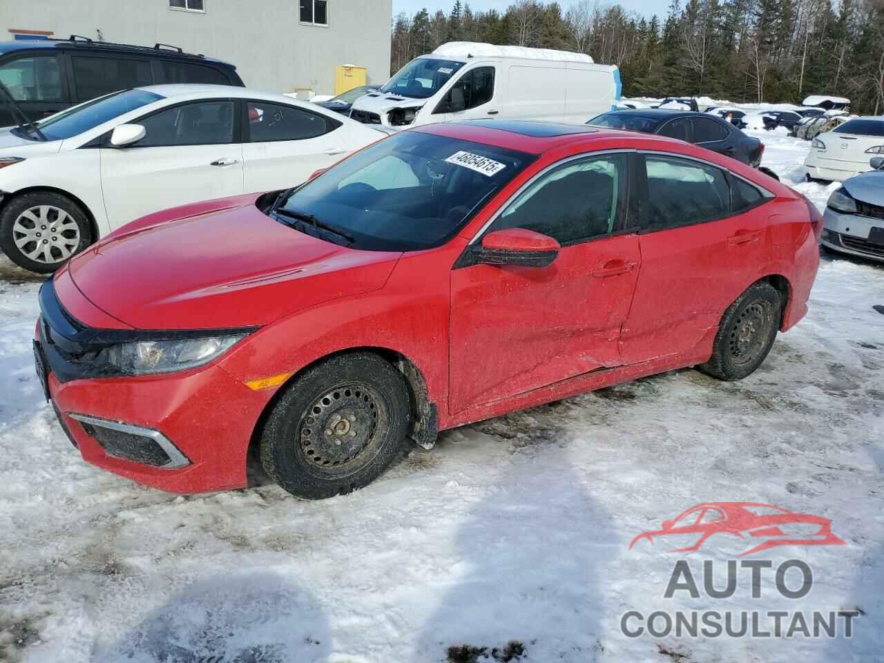 HONDA CIVIC 2019 - 2HGFC2F77KH041503