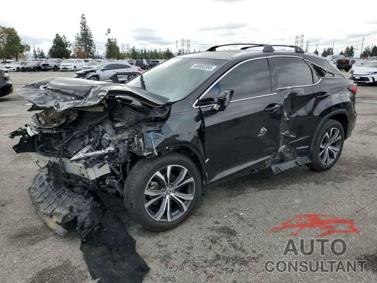 LEXUS RX450 2019 - 2T2BGMCA4KC034950