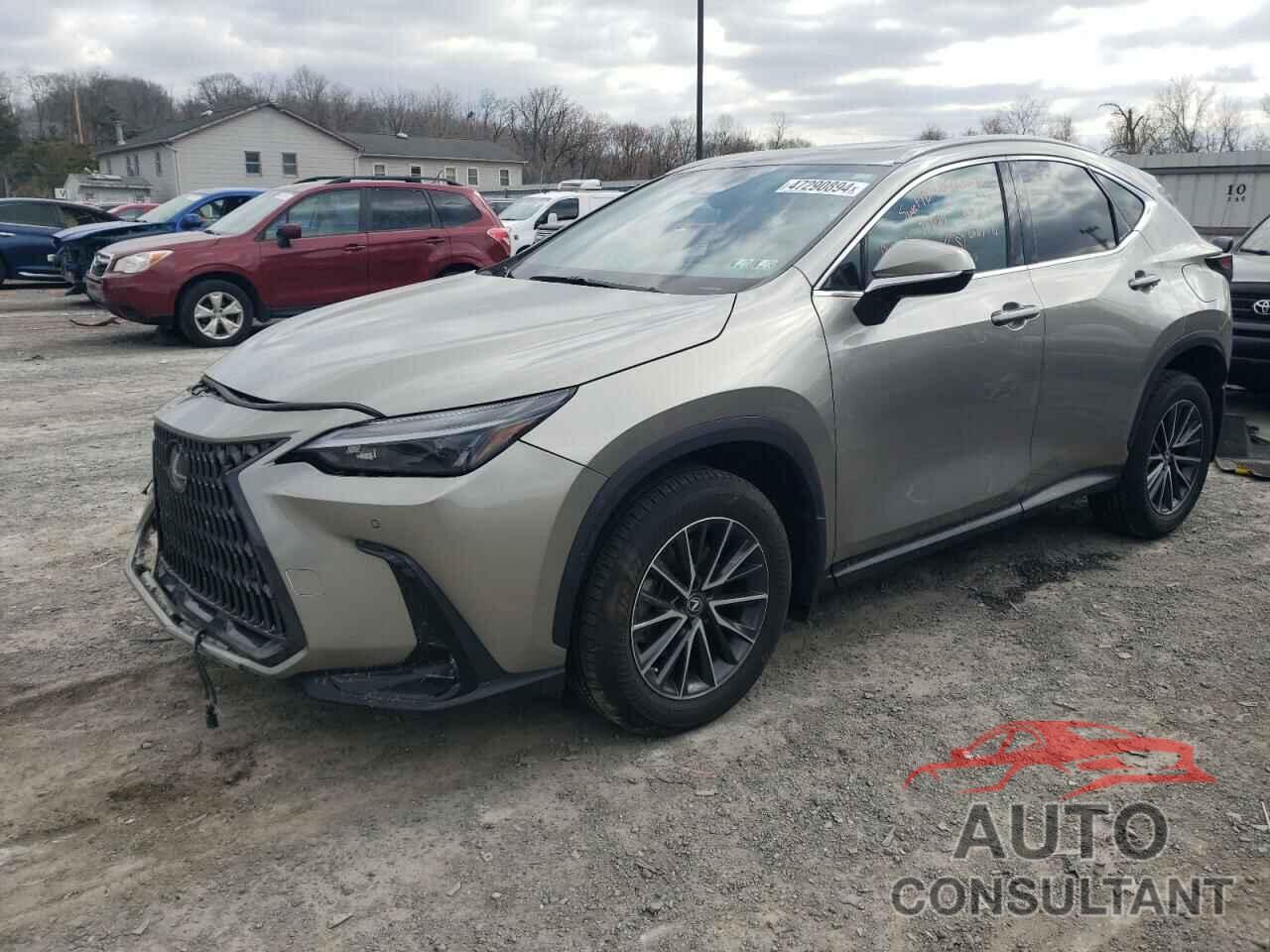 LEXUS NX 350 2022 - 2T2GGCEZ3NC001543