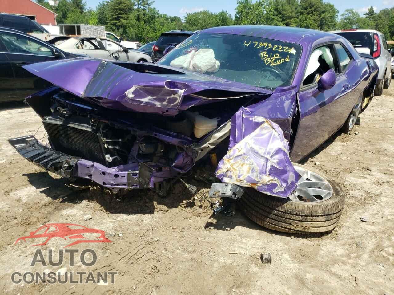 DODGE CHALLENGER 2019 - 2C3CDZBTXKH674317