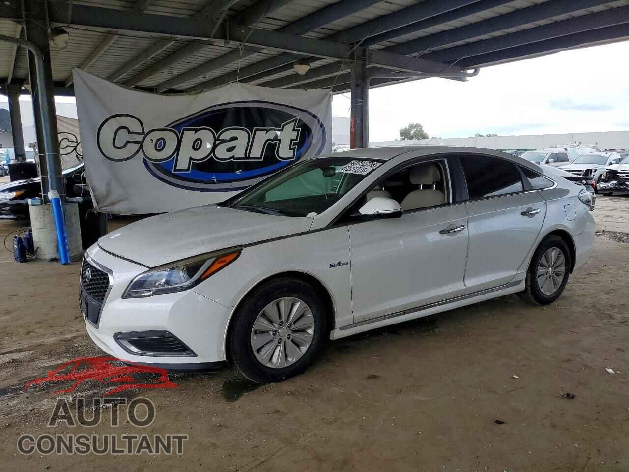 HYUNDAI SONATA 2016 - KMHE24L13GA014034