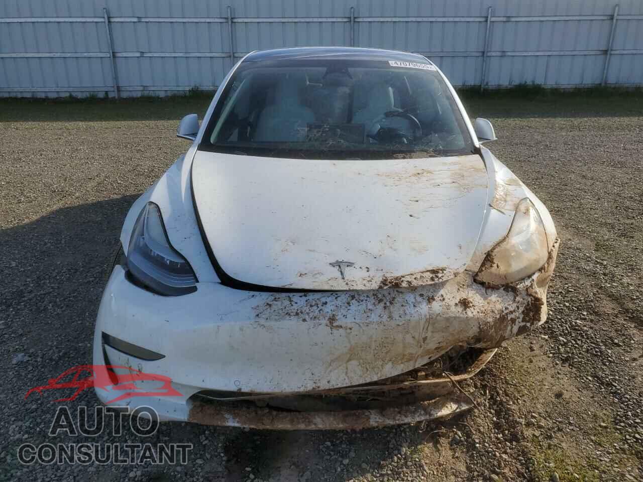TESLA MODEL 3 2019 - 5YJ3E1EB3KF513195
