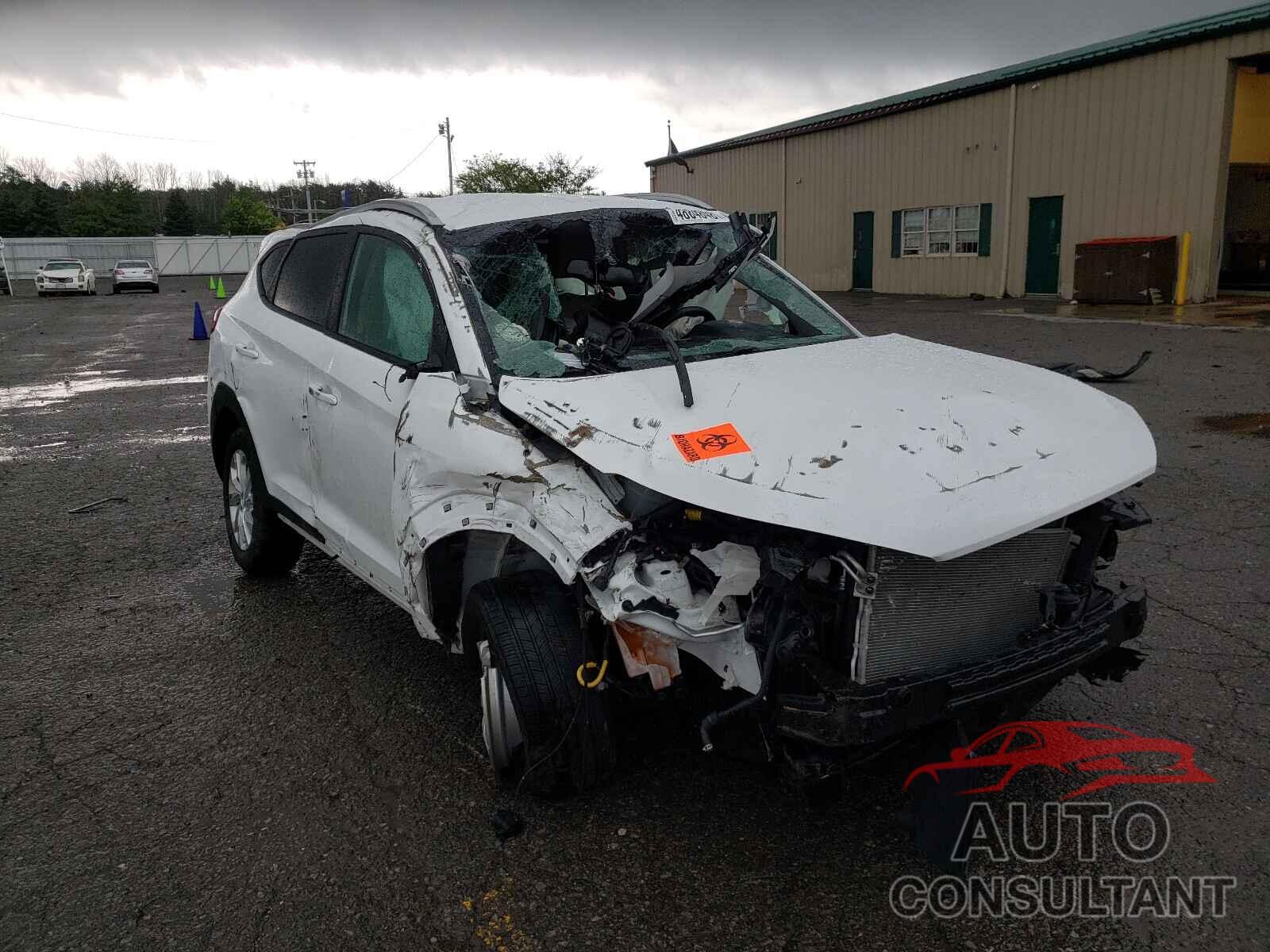 HYUNDAI TUCSON 2019 - KM8J3CA4XKU844245