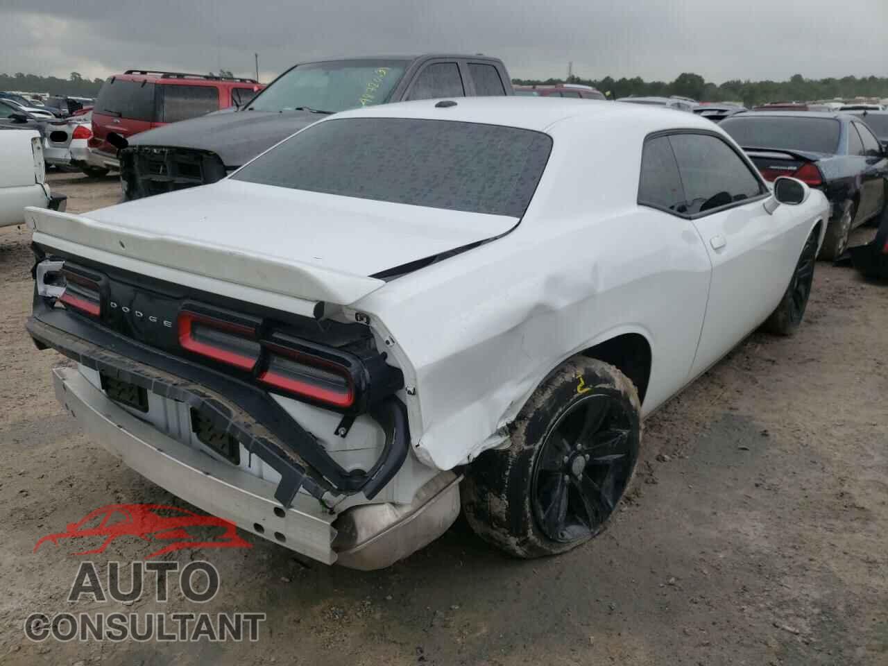 DODGE CHALLENGER 2019 - 2C3CDZAG7KH534648