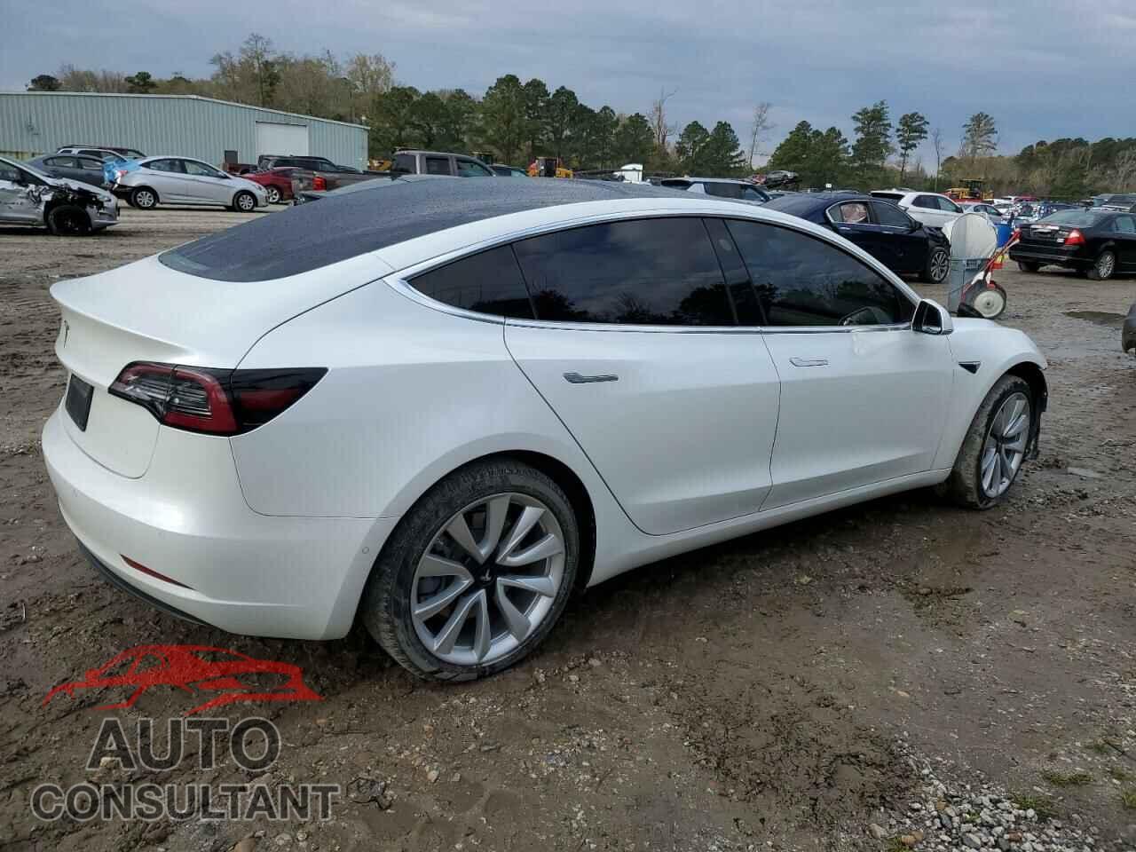 TESLA MODEL 3 2019 - 5YJ3E1EA5KF301387