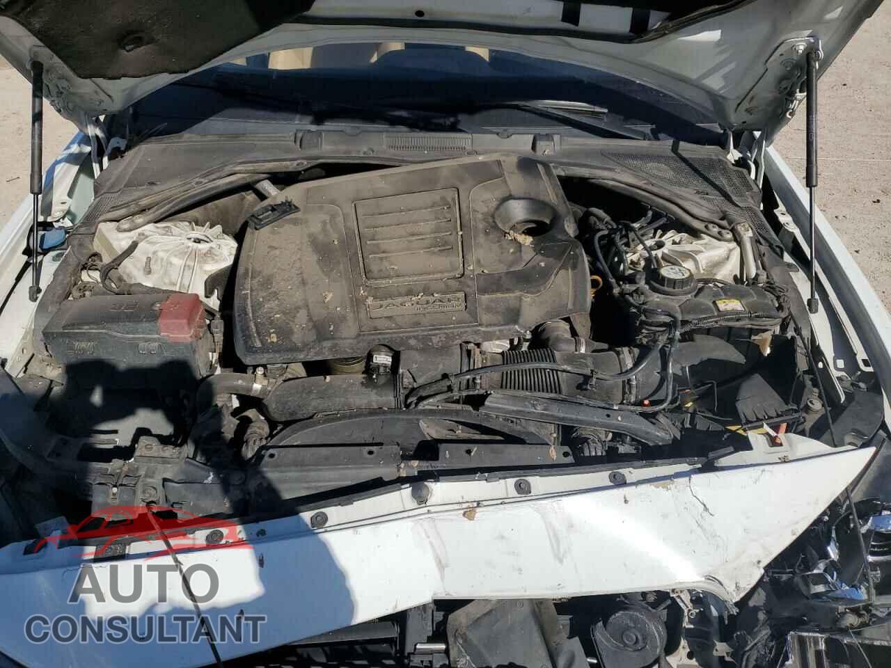 JAGUAR XE 2019 - SAJAD4FX9KCP49404