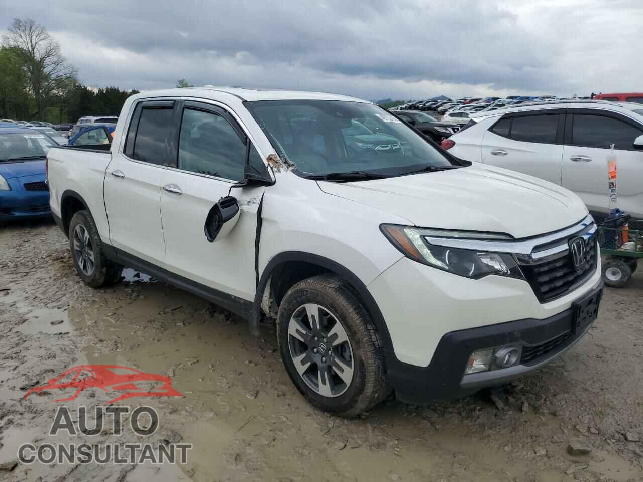 HONDA RIDGELINE 2019 - 5FPYK3F73KB032259