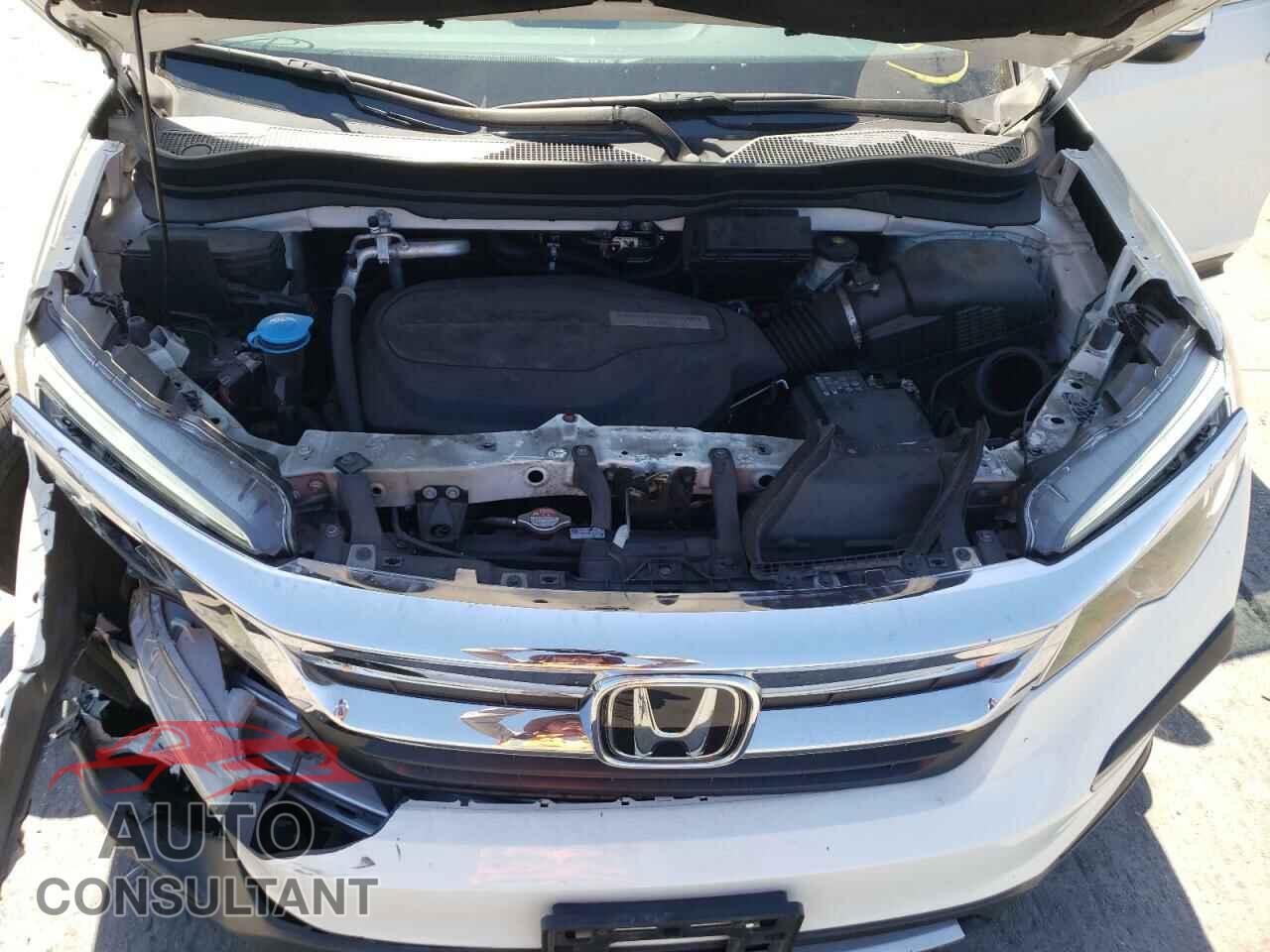 HONDA PILOT 2019 - 5FNYF5H33KB028280