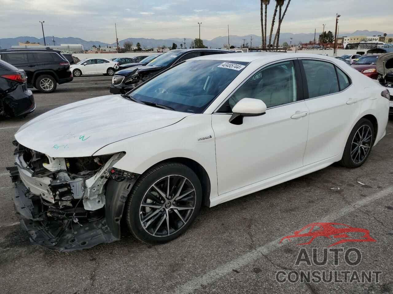 TOYOTA CAMRY 2021 - 4T1G31AK6MU032070
