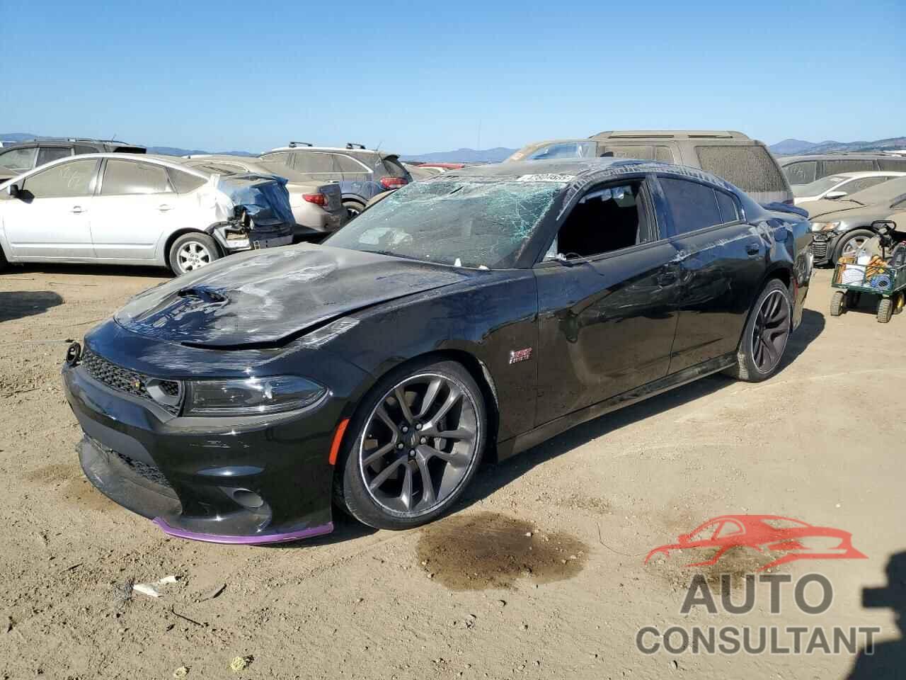 DODGE CHARGER 2022 - 2C3CDXGJ3NH163497