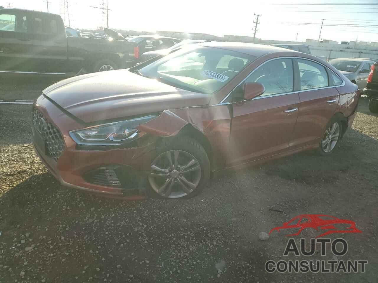 HYUNDAI SONATA 2019 - 5NPE34AF9KH753586