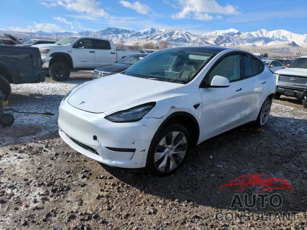 TESLA MODEL Y 2023 - 7SAYGDEE9PA129845